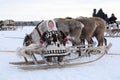 Fun Nenets girl in fur clothes with a national ornament on the b